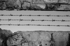 День разгрома нацизма и памяти жертв Второй мировой войны