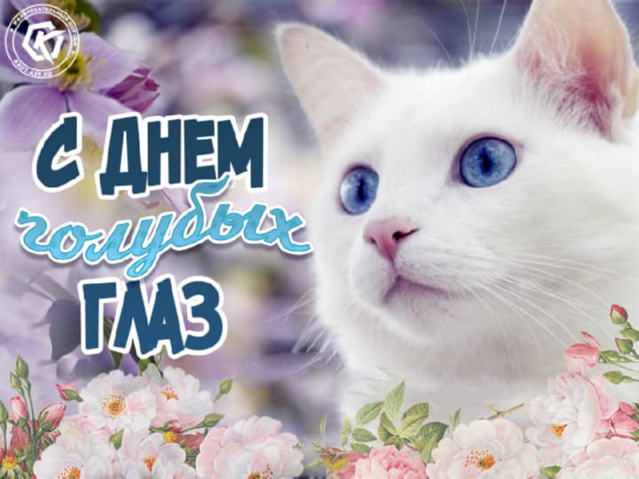 день голубых глаз, открытка №11